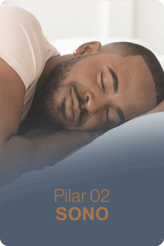 Pilar 02