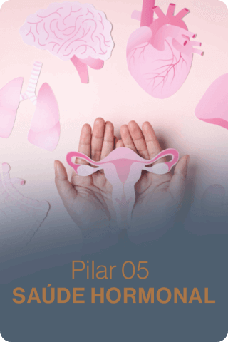 Pilar 5