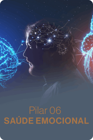 Pilar 6