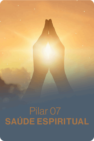 Pilar 7
