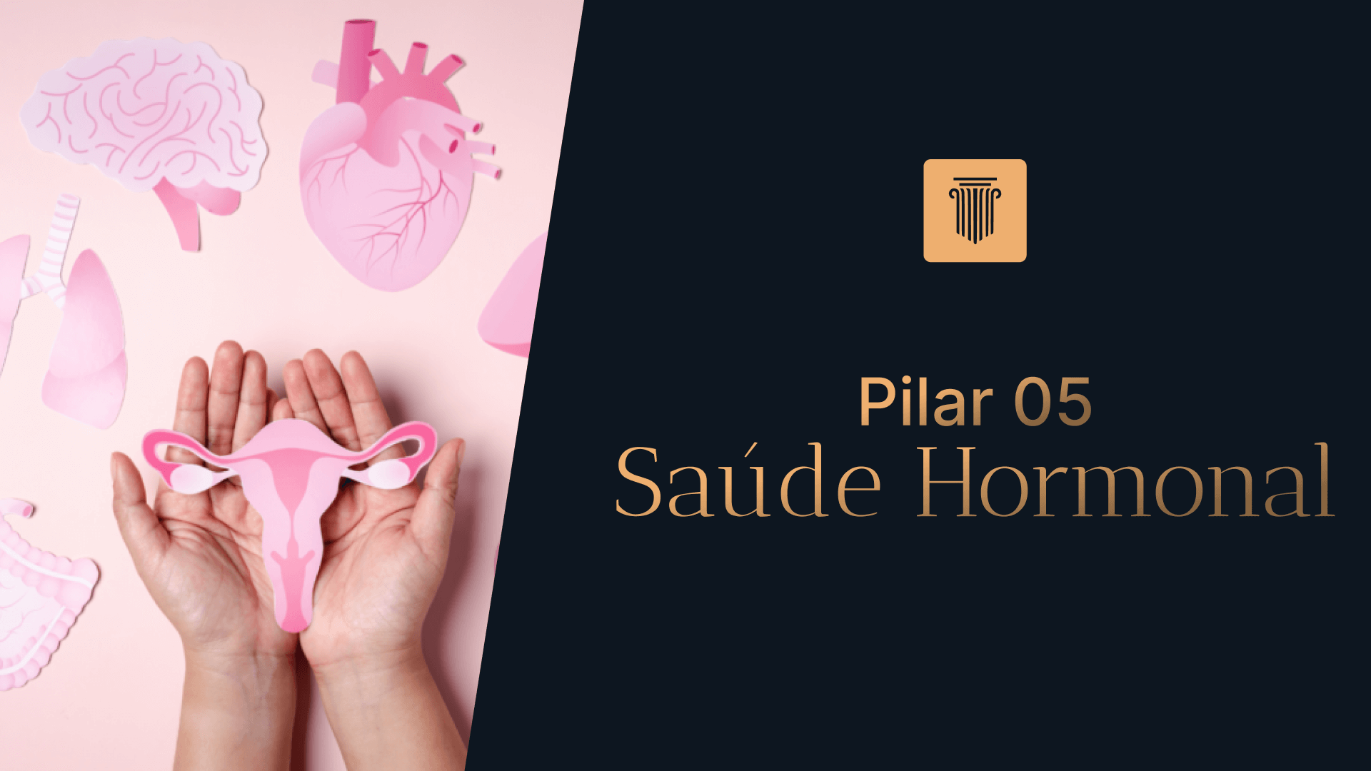 Pilar 5