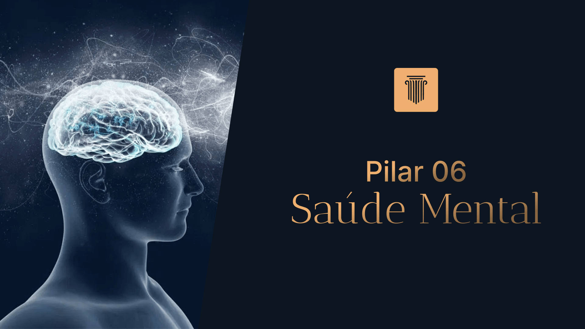 Pilar 6